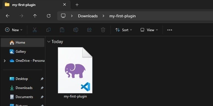 How to make a WordPress Plugin 2025 (Step by Step for Beginners) 2 Plugin file Name